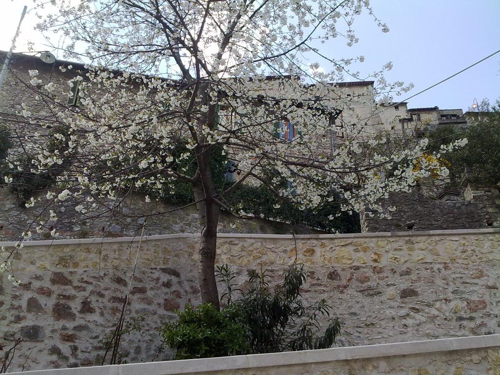 Il Paradiso Nel Borgo Arrone Exterior foto